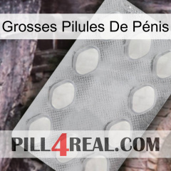 Grosses Pilules De Pénis 16